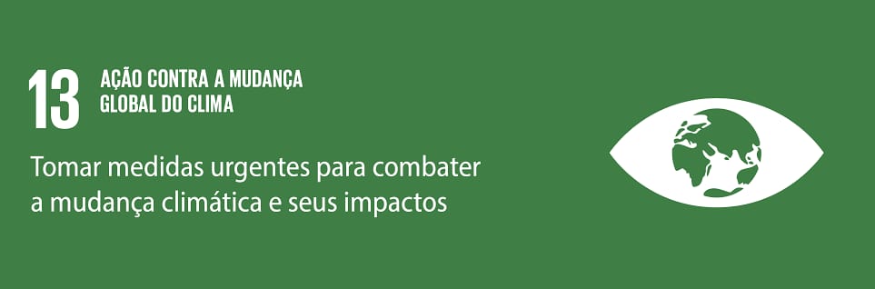 ODS 13